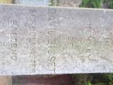 image of grave number 613857